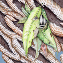 Cargar imagen en el visor de la galería, A Reticent Creature