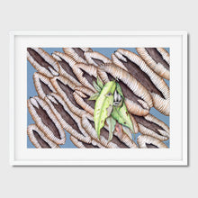 Cargar imagen en el visor de la galería, A Reticent Creature
